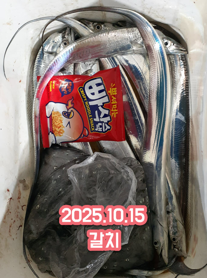 태안풀치좌대1.jpg 1015 태안 무지개좌대 조황 - 가을 어종 모두 출현