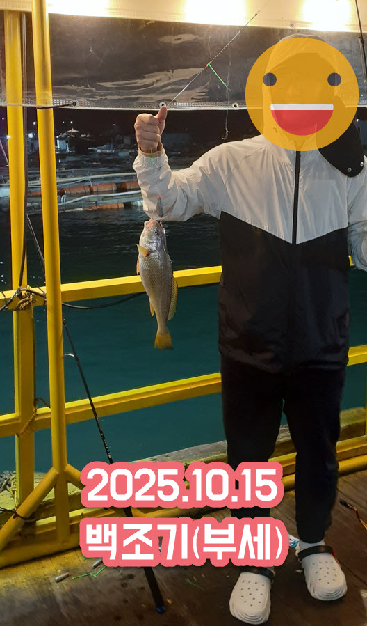 안면도가을낚시어종_백조기.jpg 1015 태안 무지개좌대 조황 - 가을 어종 모두 출현
